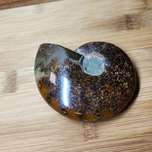 Large Ammonite Crystal